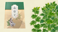 【行業(yè)資訊】國(guó)內(nèi)首部艾草專著《南陽艾》，在南陽新書首發(fā)！